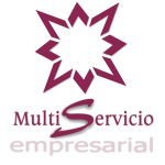 A. L. Multiservicio Empresarial