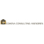 Cohesa Consulting Asesores