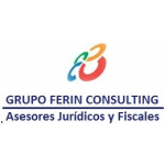 Grupo Ferin Consulting