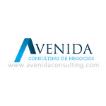 Avenida Consulting de Negocios