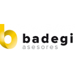 Badegi Asesores