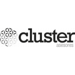 Cluster Asesores