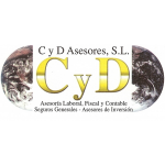 CyD Asesores