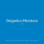 Delgado de Mendoza & Asesores