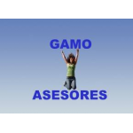 Gamo Asesores