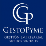 Gestopyme Gestion Empresarial