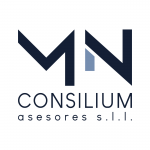 Mn Consilium Asesores Sll