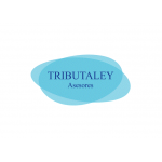 Tributaley Nova Gestion Sl