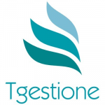 Tgestione